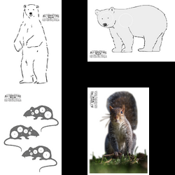 Animals